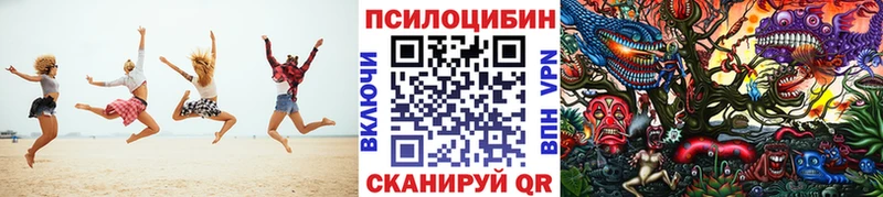 Галлюциногенные грибы мицелий blacksprut Ессентуки